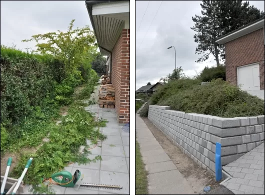 Det halve af hækken og det nede foran