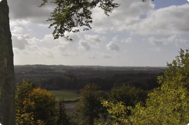 Udsigten i Vissenbjerg