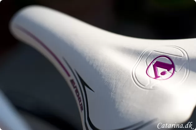 0001-Diverse billeder_0151