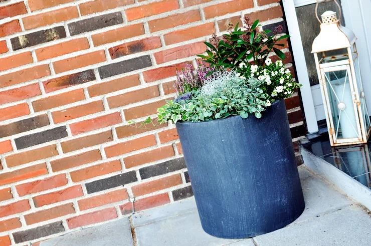 Pynt ved hoveddøren