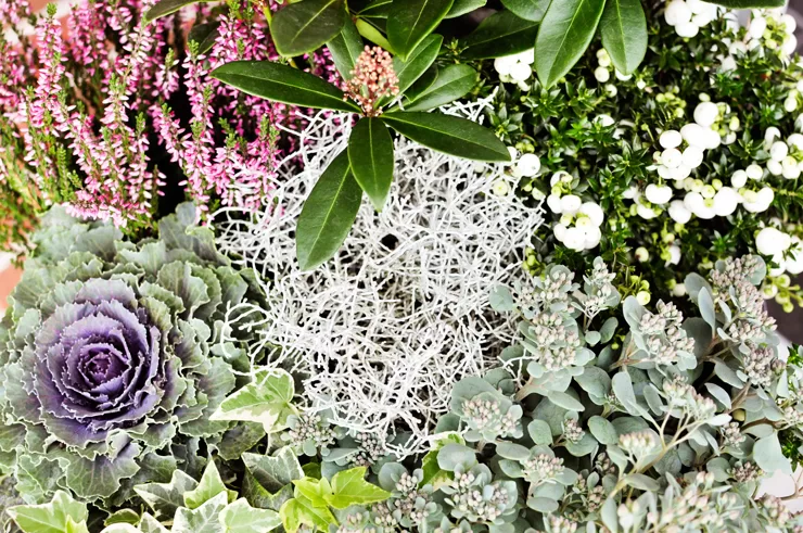 Pynt ved hoveddøren