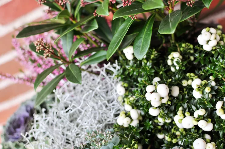 Pynt ved hoveddøren