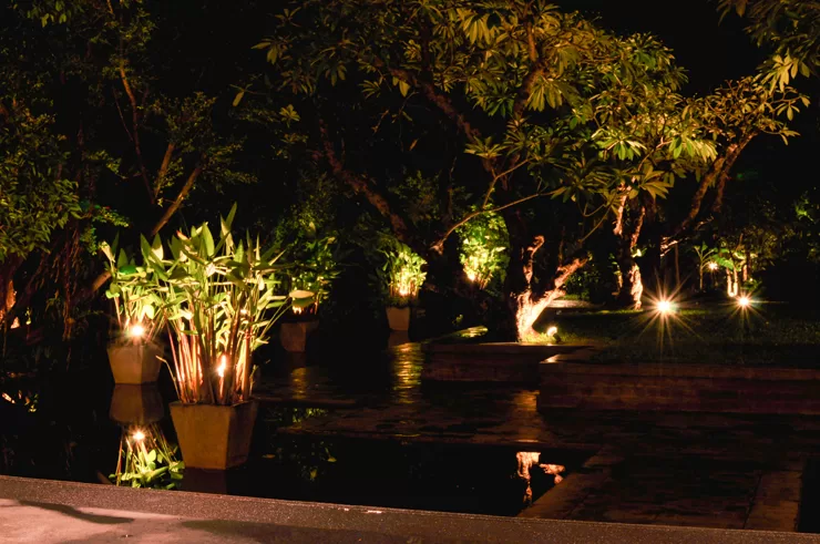 Udsigten fra vores bord