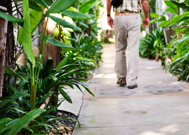 Så er vi på vej hjem