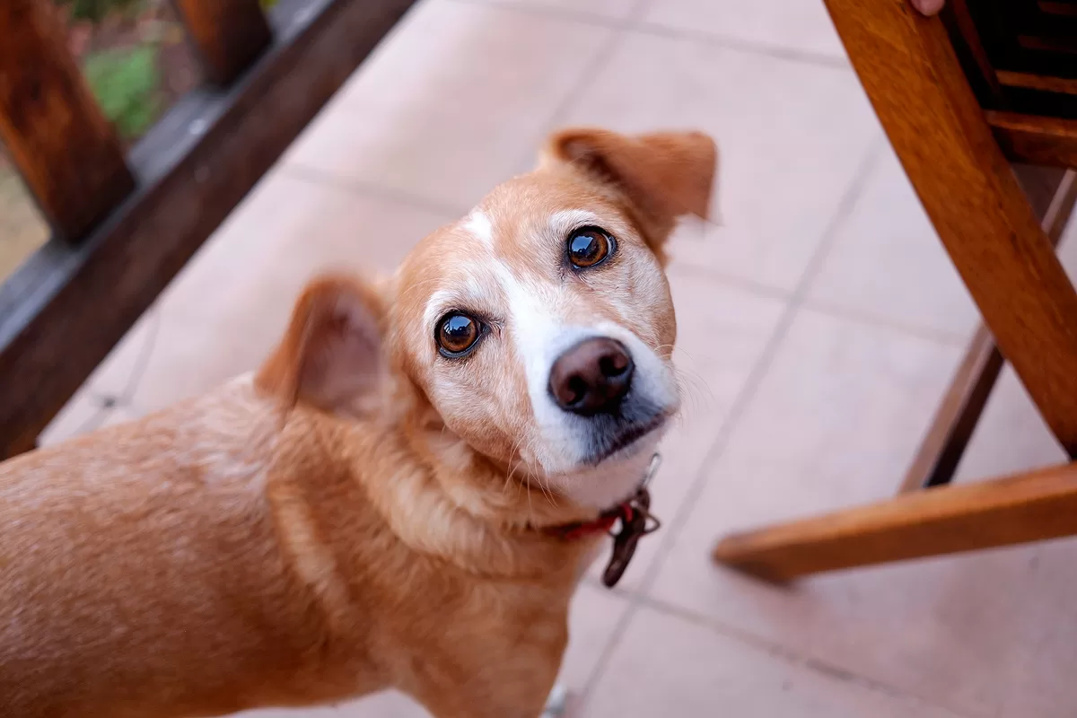 Sommerferien_150710_007