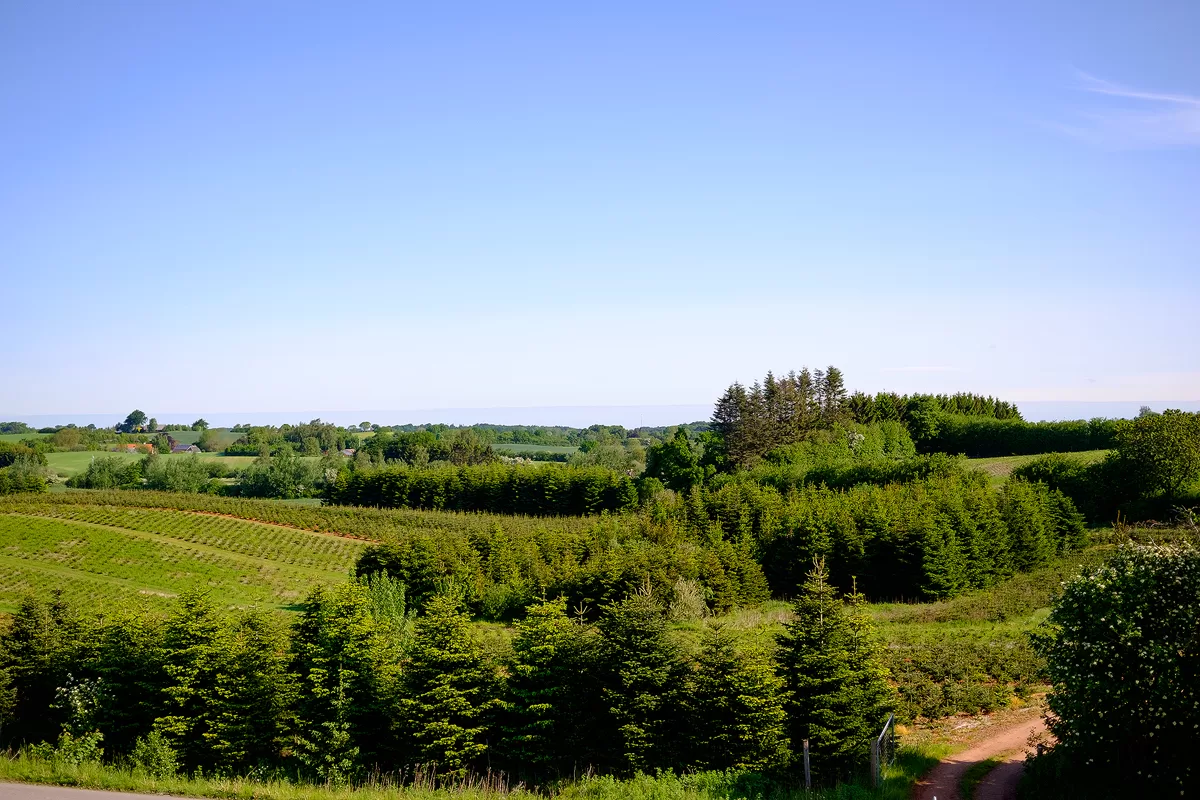 Blandet_20160527_078 copy