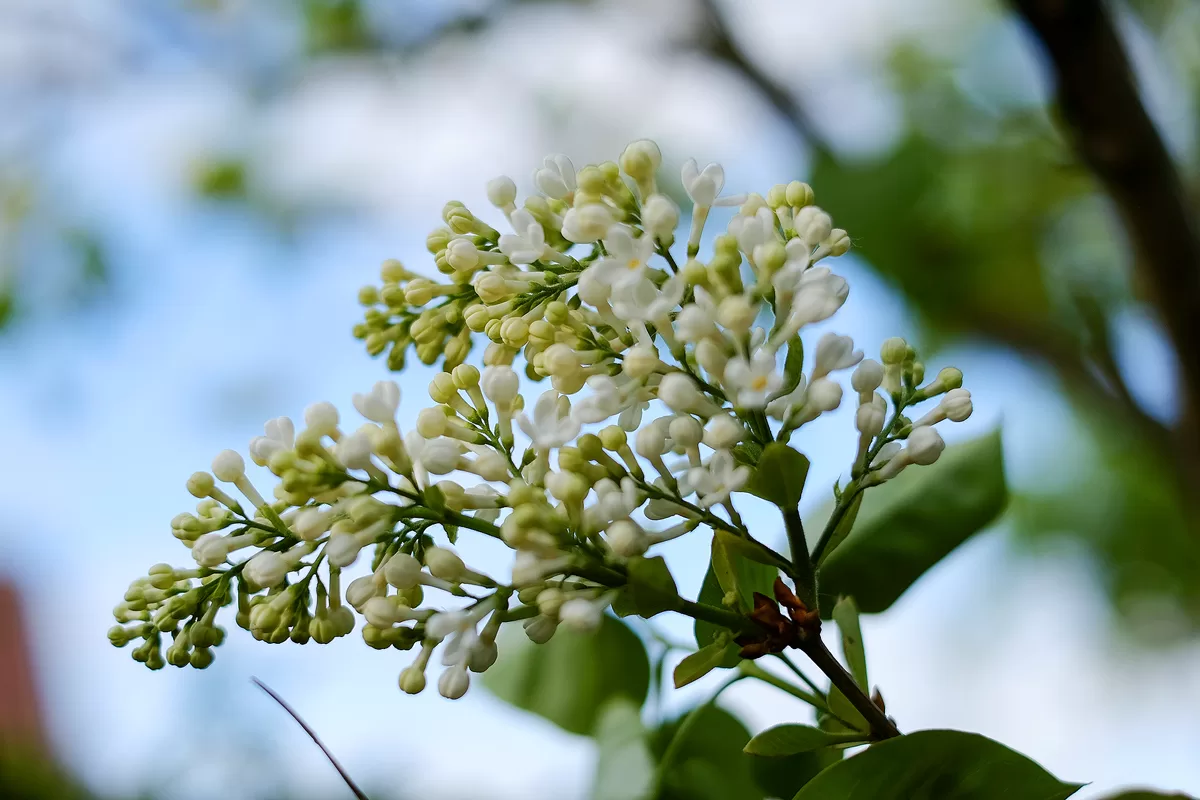 Haven_20160516_000 copy