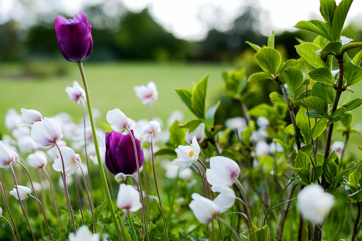 Haven_20160516_002 copy