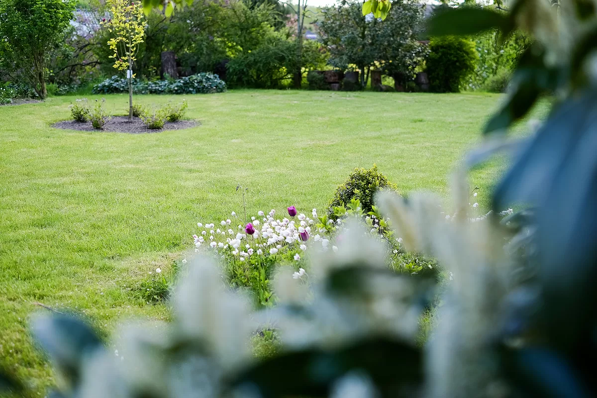 Haven_20160516_004 copy