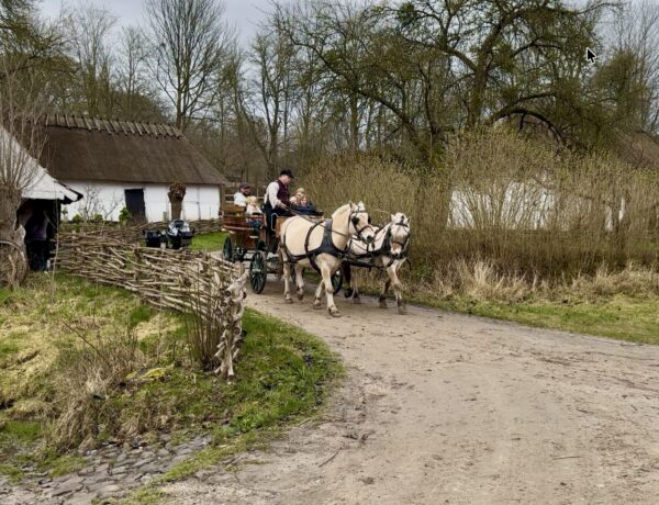 Hestevogn i Den Fynske Landsby på en forårsdag med familien på udflugt.